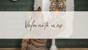valorarte mas