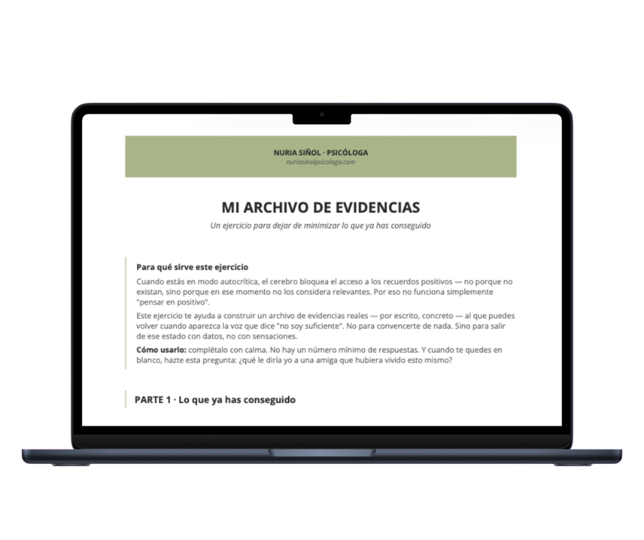 mi archivo de evidencias